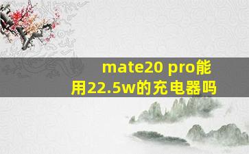 mate20 pro能用22.5w的充电器吗